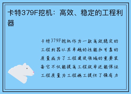 卡特379F挖机：高效、稳定的工程利器