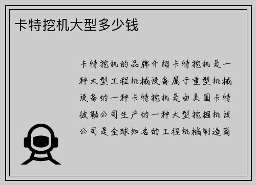 卡特挖机大型多少钱
